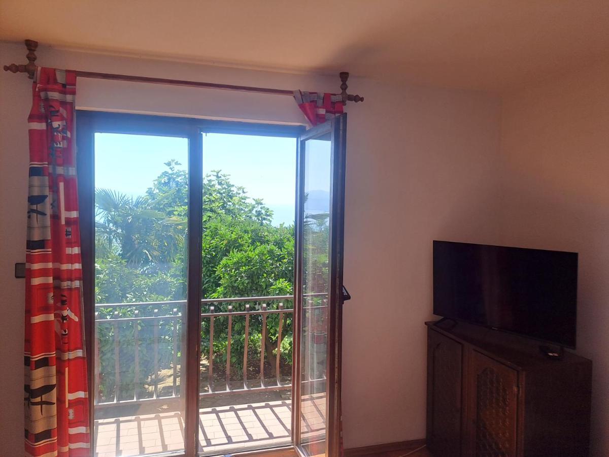 Camelia Apartment *
